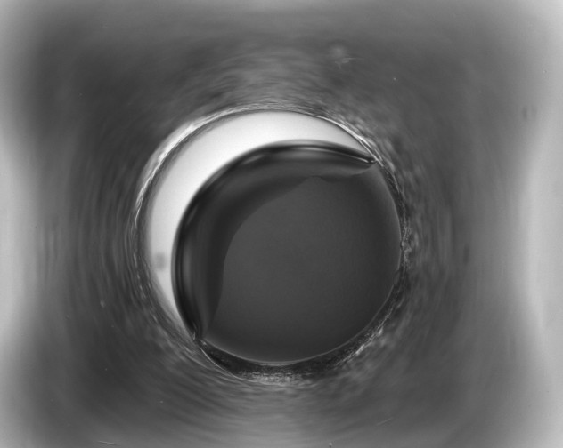 X0000085300200200703161440