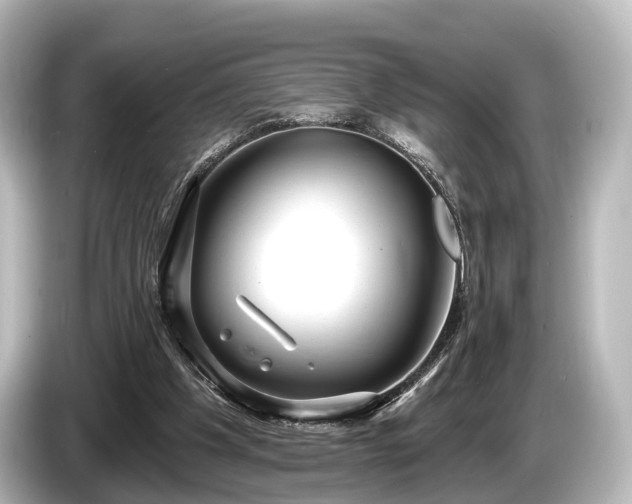 X0000085300201200703161440