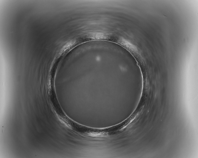 X0000085300202200703161440