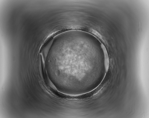 X0000085300203200703161440