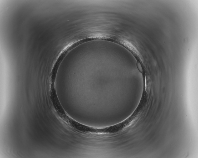 X0000085300204200703161440