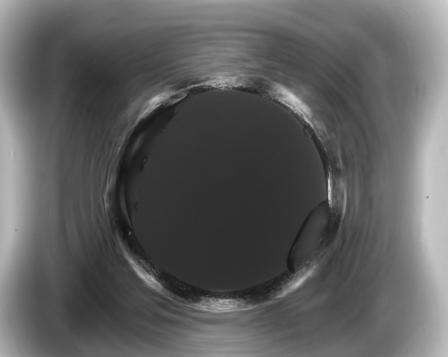 X0000085300205200703161440