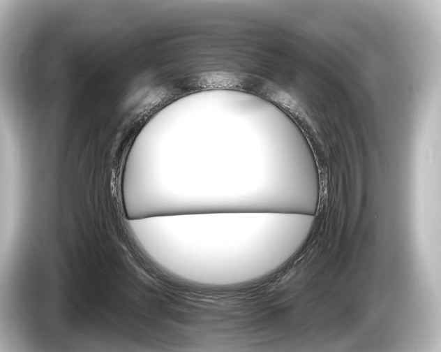 X0000085300206200703161440