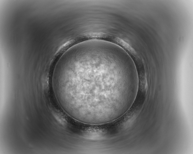 X0000085300207200703161440