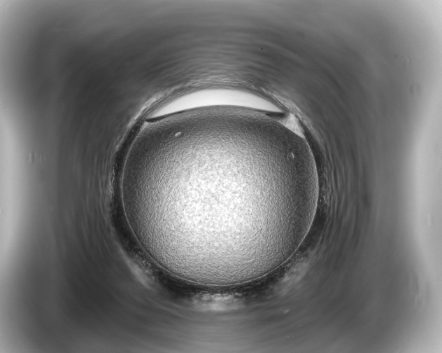 X0000085300208200703161440