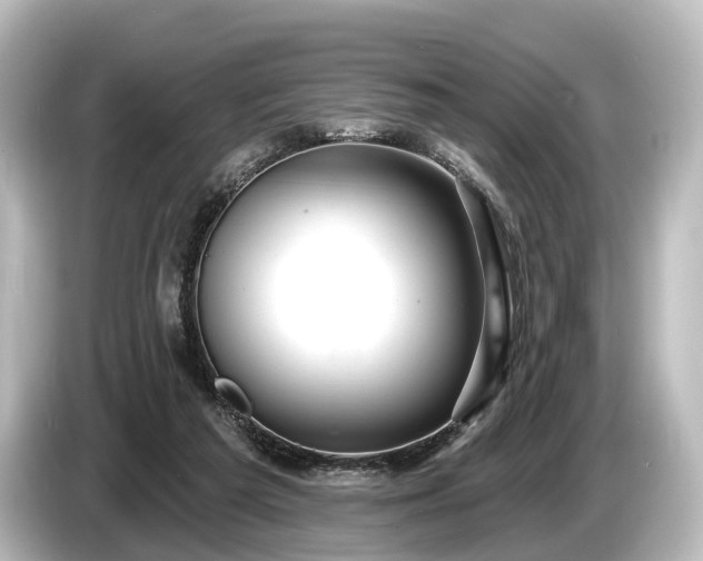 X0000085300209200703161440