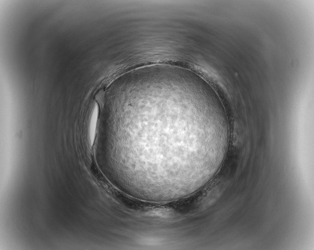 X0000085300210200703161439