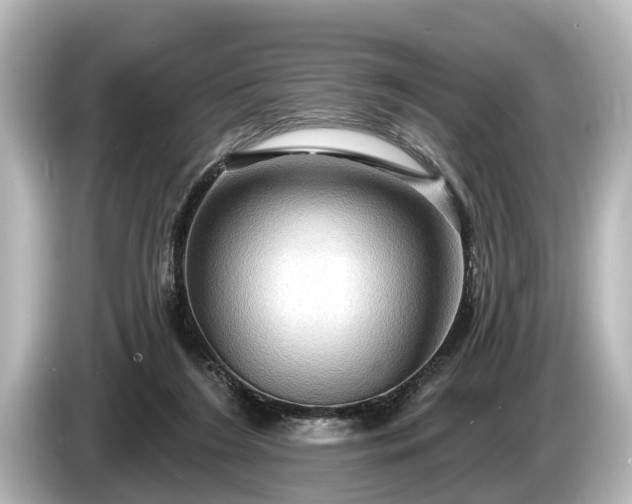 X0000085300212200703161439