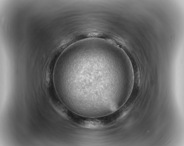 X0000085300215200703161439