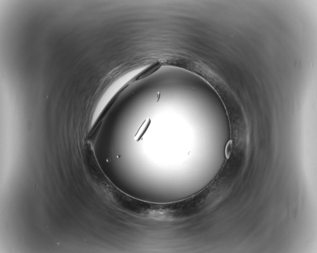 X0000085300216200703161439