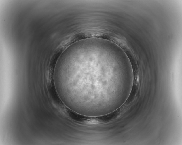 X0000085300218200703161439