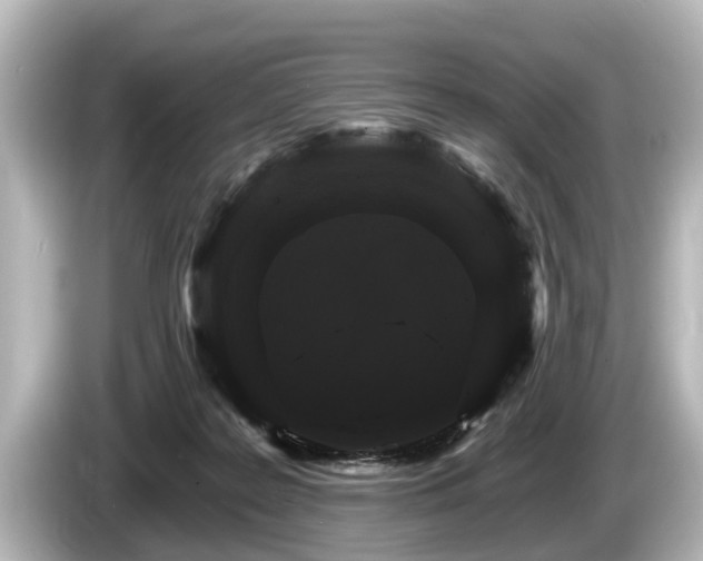 X0000085300219200703161439