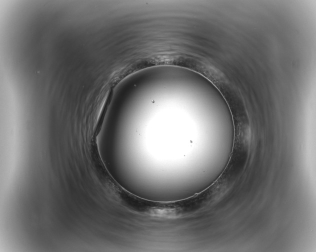 X0000085300220200703161439