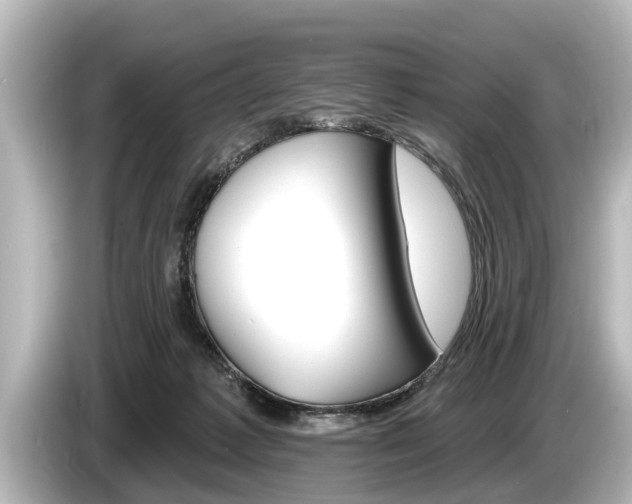 X0000085300221200703161439