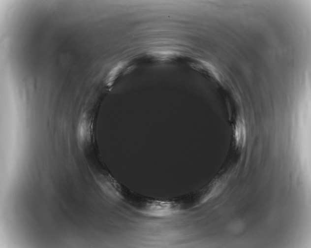 X0000085300227200703161439