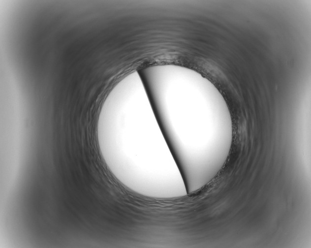 X0000085300228200703161439