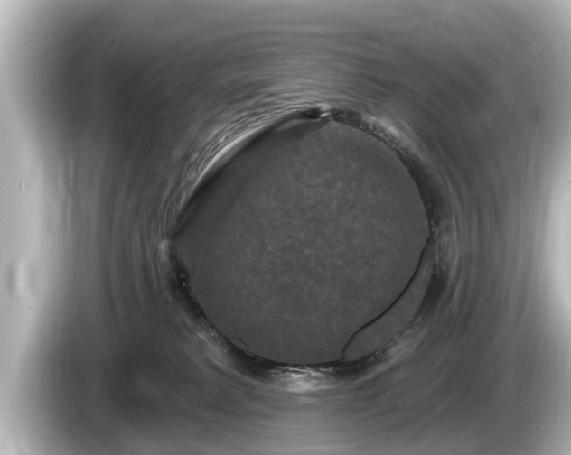 X0000085300229200703161439