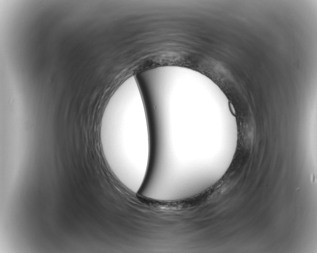 X0000085300232200703161439