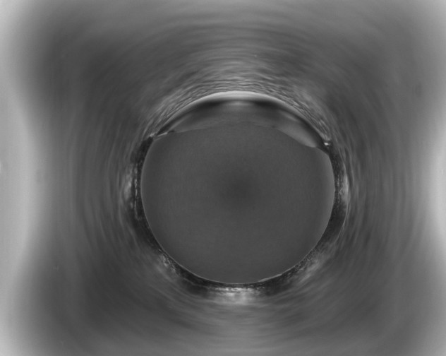 X0000085300233200703161439