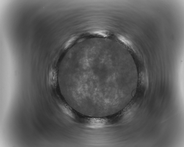 X0000085300234200703161439