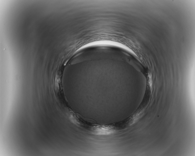 X0000085300235200703161439