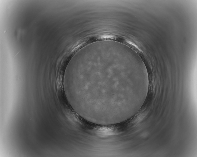 X0000085300236200703161439