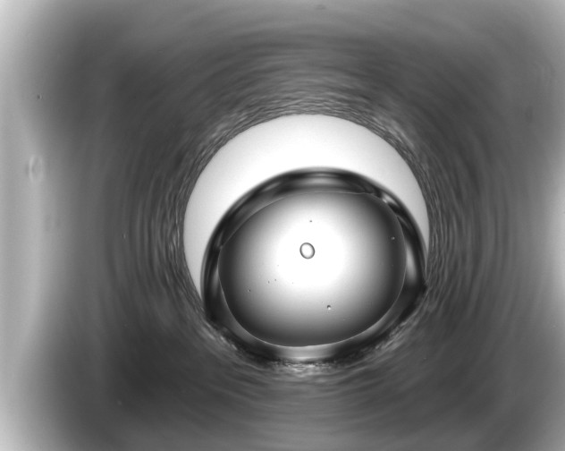 X0000085300237200703161439