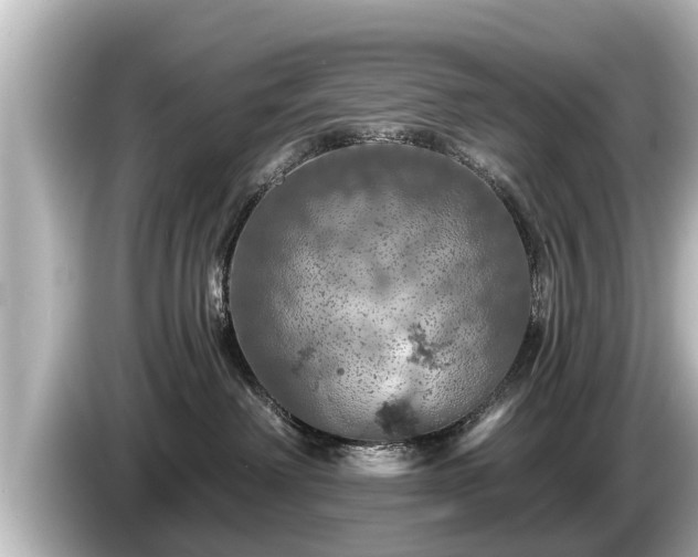 X0000085300238200703161439