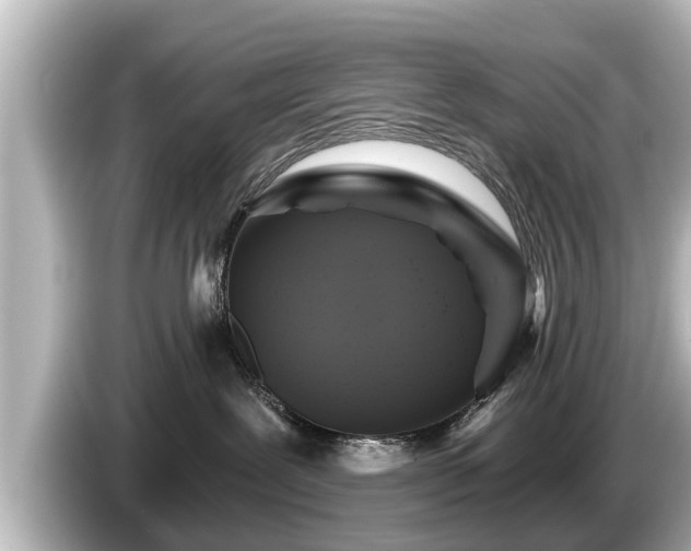 X0000085300239200703161439