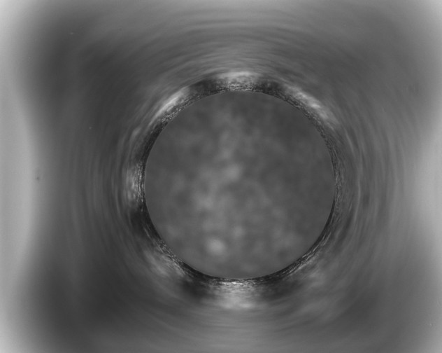 X0000085300240200703161439