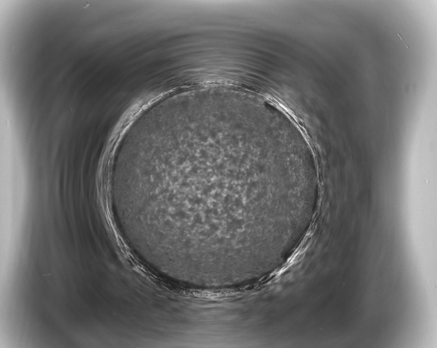 X0000085300241200703161439