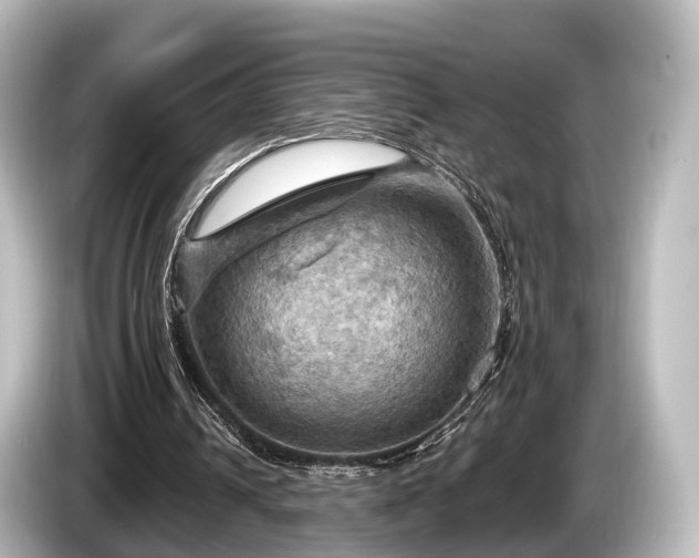 X0000085300242200703161439