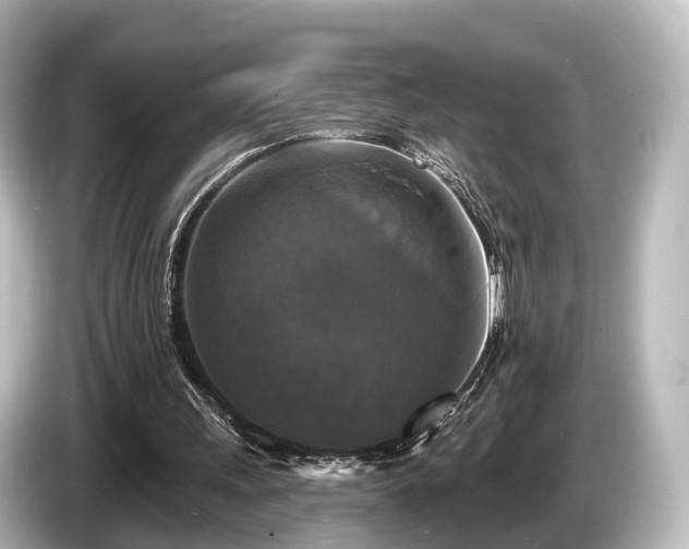 X0000085300243200703161439