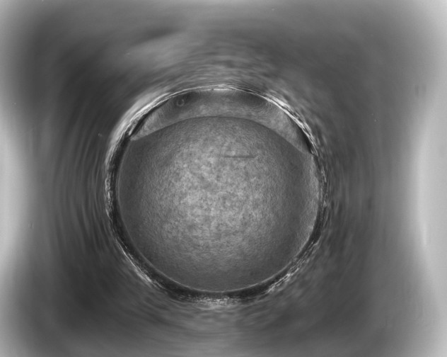 X0000085300245200703161439