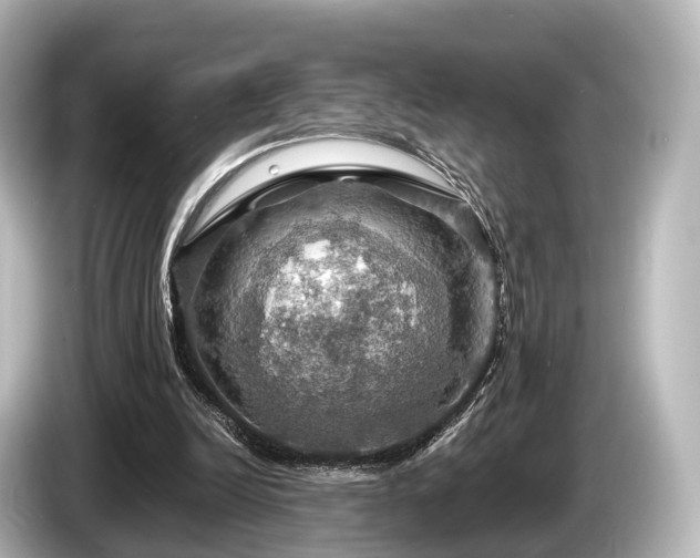 X0000085300246200703161439