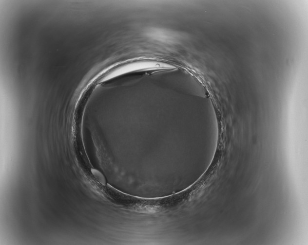 X0000085300247200703161439