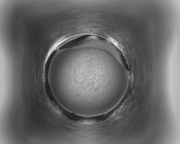 X0000085300248200703161439