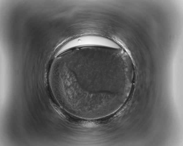 X0000085300249200703161439