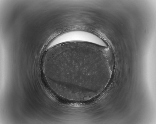 X0000085300250200703161439