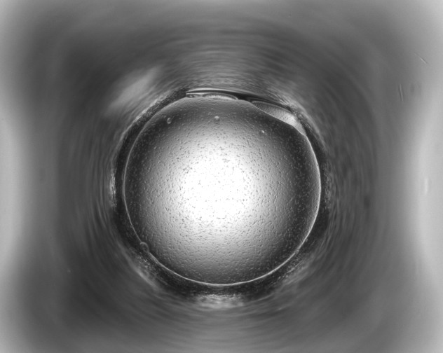 X0000085300251200703161439