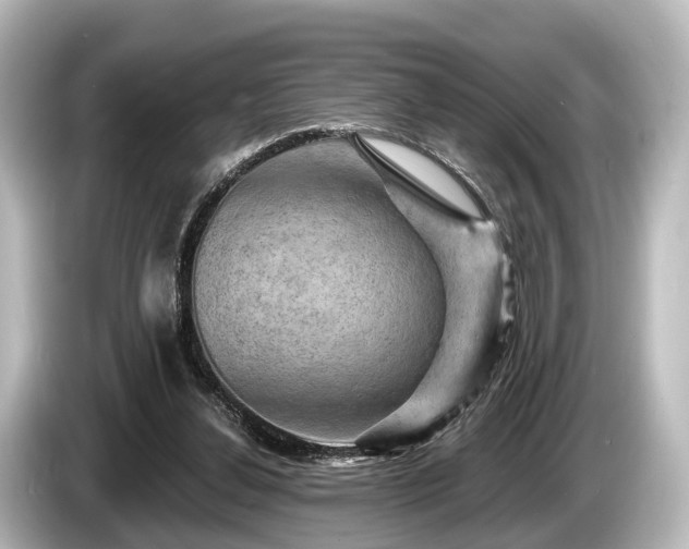 X0000085300252200703161439