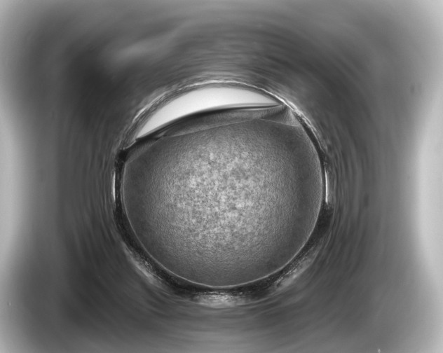 X0000085300253200703161439