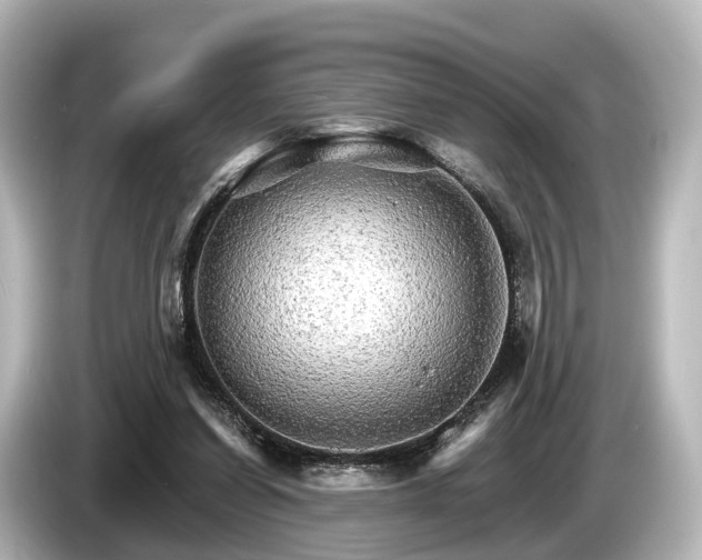 X0000085300254200703161439