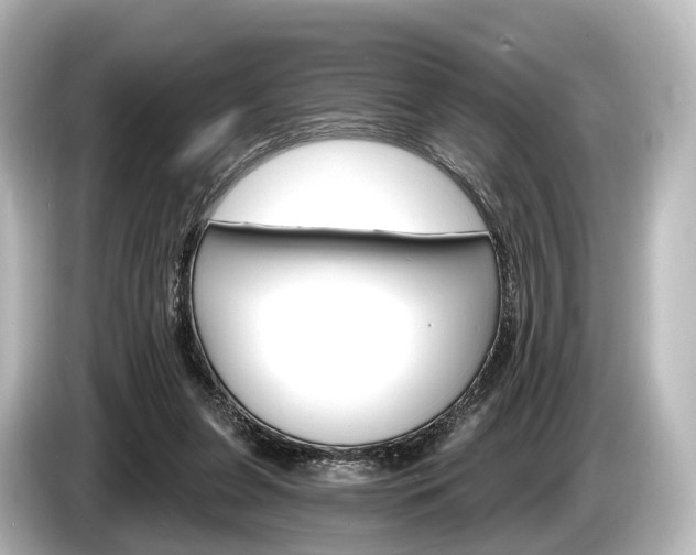 X0000085300255200703161439