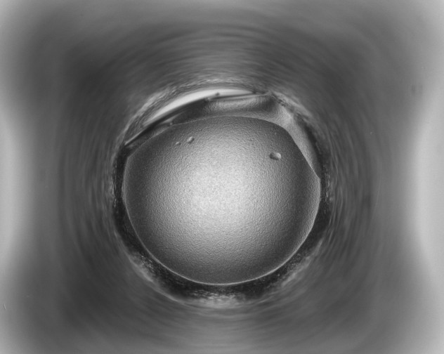 X0000085300256200703161439