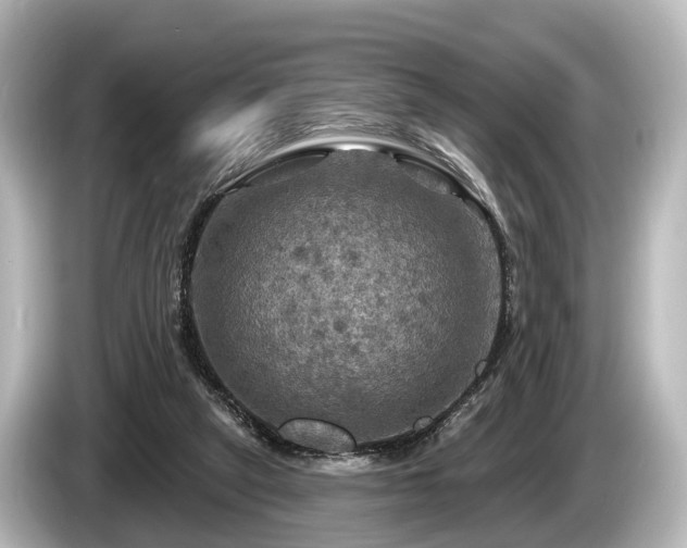 X0000085300257200703161439