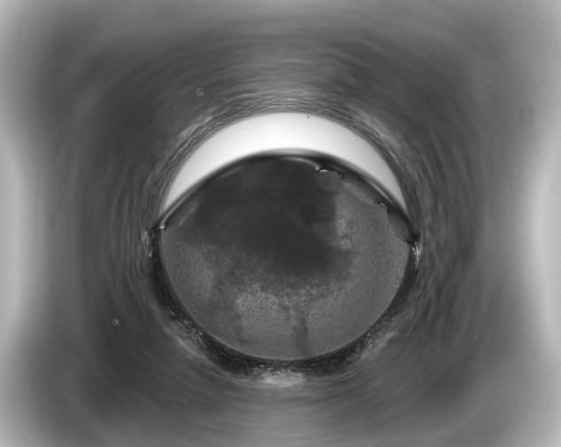 X0000085300258200703161439