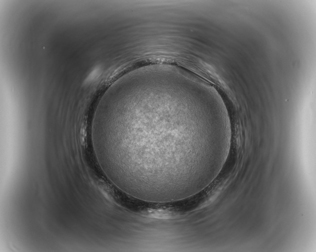 X0000085300259200703161439