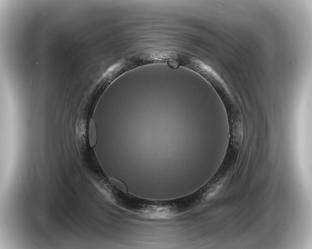 X0000085300260200703161439