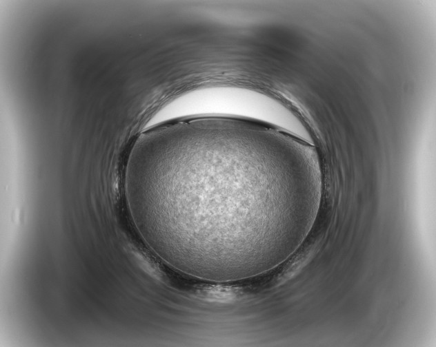 X0000085300261200703161439